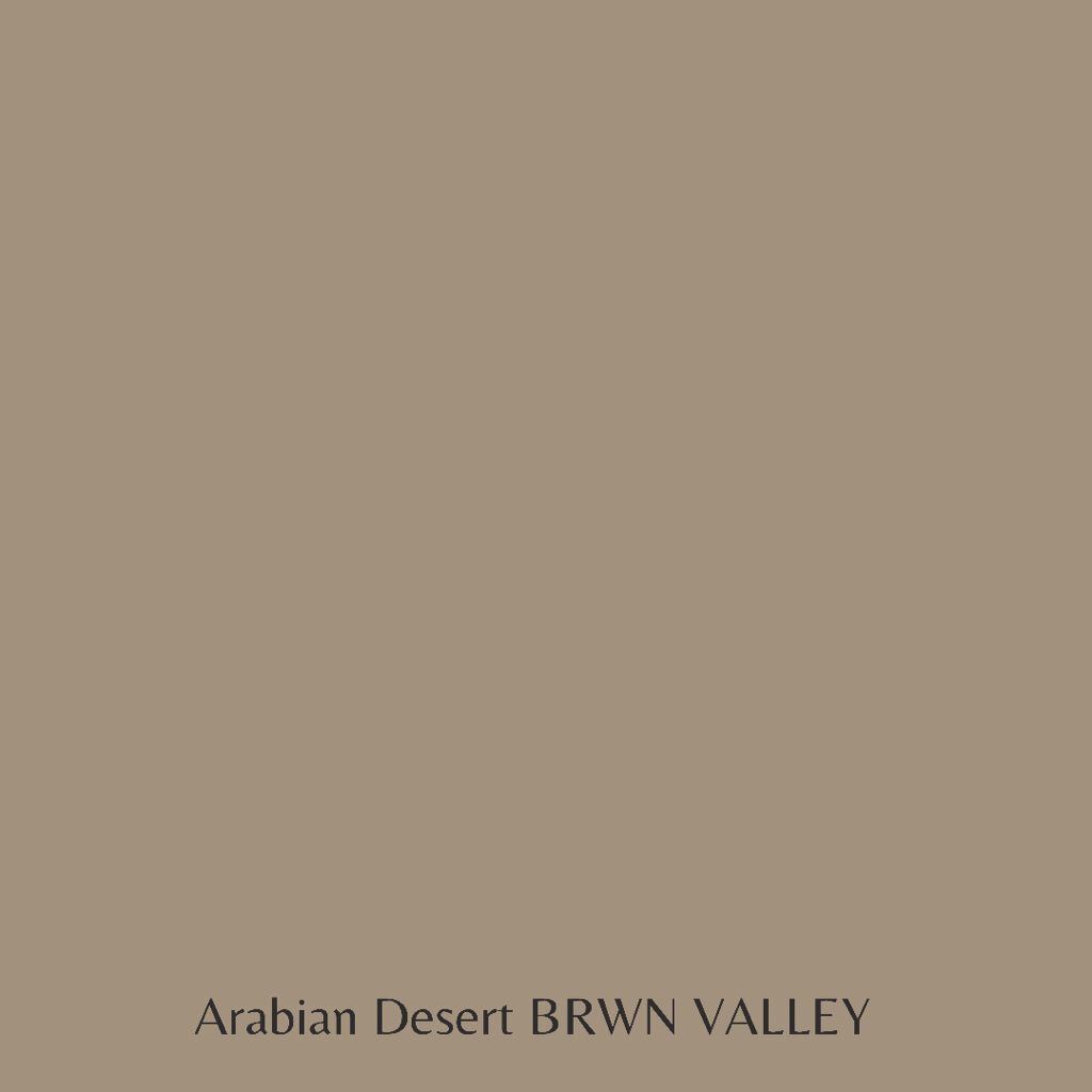 Egyptian Arabian Desert BRWN VALLEY